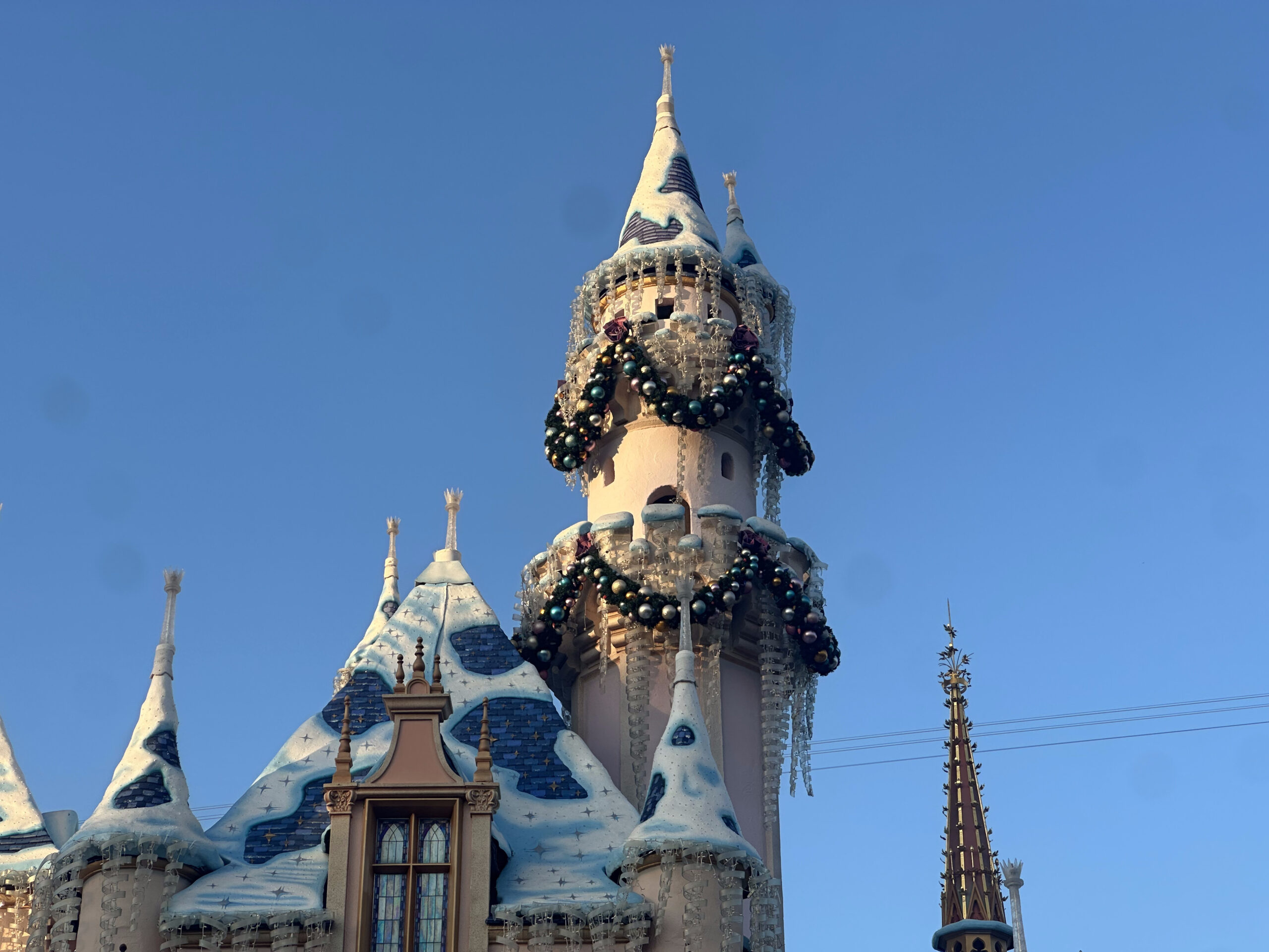 Disneyland Winter 2025